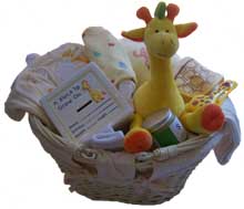 Deluxe Giraffe Basket