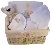 new baby basket
